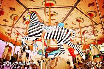 江蘇徐州樂園-飛天木馬照片