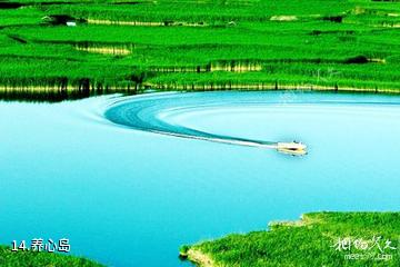 银川鸣翠湖国家湿地公园-养心岛照片