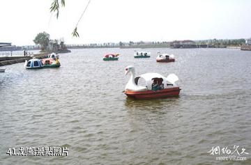 江蘇永豐林農業生態園-划船照片