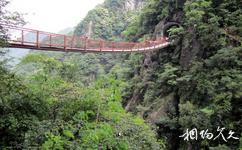 福州旗山國家森林公園旅遊攻略之索橋