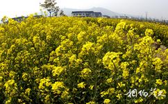 江蘇江陰華西村旅遊攻略之農業區