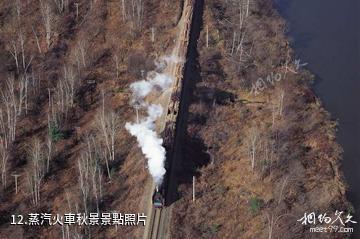 克什克騰旗熱水塘溫泉療養旅遊區-蒸汽火車秋景照片