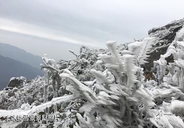 永州藍山雲冰山景區-冰掛雪景照片