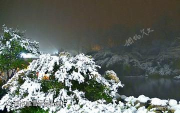 韓書凡奇石藝術館-藝術館雪景照片