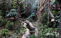 香港海洋公园旅游攻略之热带雨林探险径