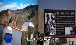 喀什花儿为什么这样红景区驴友相册