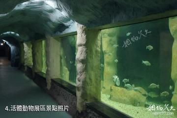 連雲港連島海底世界-活體動物展區照片