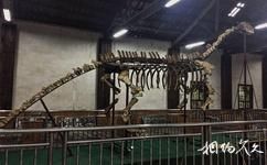 长沙靖港古镇旅游攻略之恐龙化石馆
