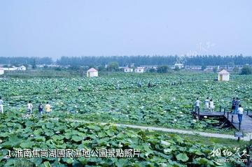 淮南焦崗湖國家濕地公園照片