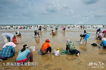 日照多島海風景區-趕海活動區照片