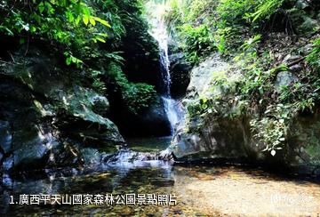 廣西平天山國家森林公園照片