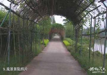 梅河口市四季生態園-風景照片