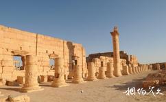 叙利亚帕尔米拉古城旅游攻略之大集市遗迹