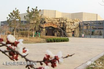 東營黃河三角洲動物樂園-動物展示區照片
