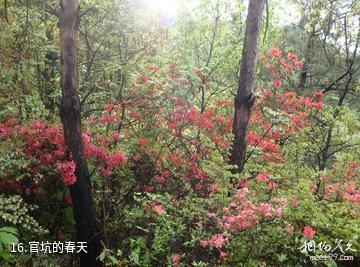 仙居官坑风景区-官坑的春天照片