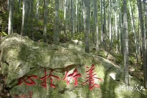 四川達州大竹旅遊景點大全