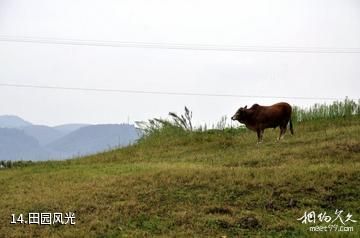 遂昌湖山森林公园-田园风光照片