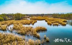 吉木萨尔北庭国家湿地公园旅游攻略