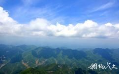 陝西商洛天竺山國家森林公園旅遊攻略之森林