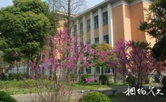 上海同济大学校园概况之教学北楼