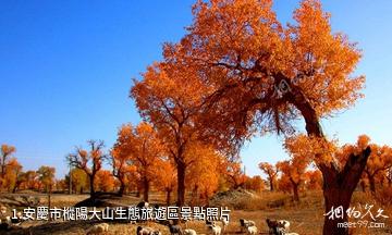 安慶市樅陽大山生態旅遊區照片