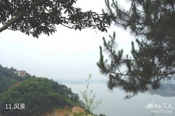 益阳花乡农家乐景区-风景照片