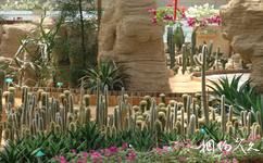 北京世界花卉大觀園旅遊攻略之沙生植物館