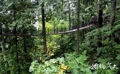 加拿大卡皮拉诺吊桥公园旅游攻略
