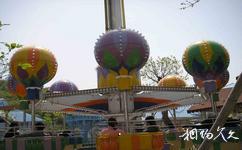宁波凤凰山海港乐园（已关闭）旅游攻略之旋转汽球