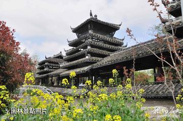 上海南匯桃花村-園林照片