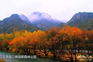 天祝三峡国家森林公园照片