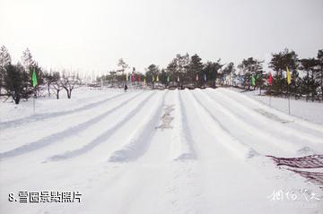 龍井馬蹄山旅遊度假區-雪圈照片