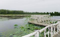 双鸭山安邦河湿地公园旅游攻略之生态园