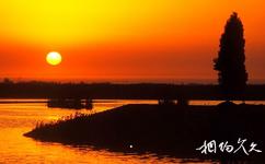 銀川鳴翠湖國家濕地公園旅遊攻略之東堤夕照