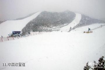 大连铭湖国际温泉滑雪度假村-中高级雪道照片