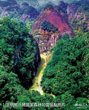 三明格氏栲國家森林公園照片