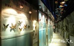 吉林省自然博物馆旅游攻略之蝴蝶谷