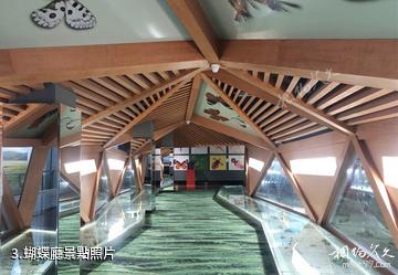 青藏高原自然博物館-蝴蝶廳照片