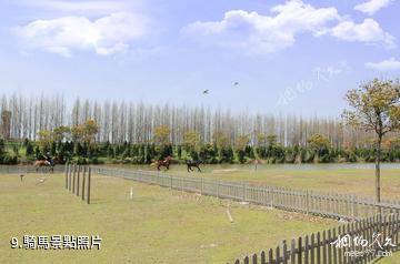 上海濱海森林公園-騎馬照片