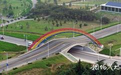 莒县沭河湿地公园旅游攻略之彩虹桥