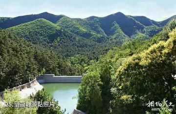 九龍山國家森林公園-望龍峰照片