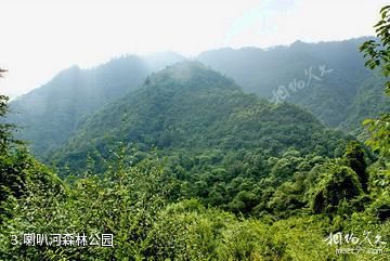 雅安喇叭河森林公园-喇叭河森林公园照片