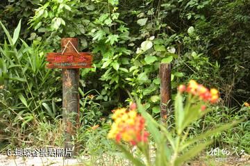 廣西大桂山國家森林公園-蝴蝶谷照片