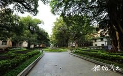广州沙面大街旅游攻略之花园