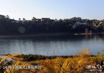 思茅梅子湖公園-梅子湖風光2照片