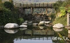 中國科學院武漢植物園旅遊攻略之岩石植物區