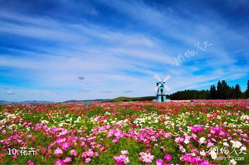 承德丰宁大汗行宫旅游景区-花卉照片