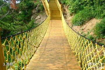 大连长海小水口森林公园-吊桥照片