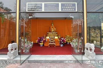 重庆巴南中泰天心佛文化旅游区-泰佛殿照片