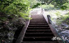 杭州千岛湖森林氧吧旅游攻略之天梯